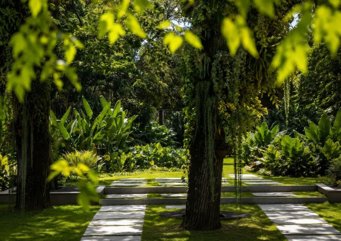 Garden path between mature palms